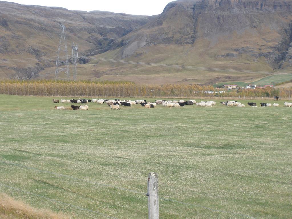 Vorsabaer 2 Holiday Home Fjall Rum bild